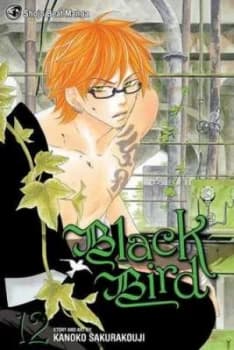 Black Bird. Volume 12 by Kanoko Sakurakoji Paperback