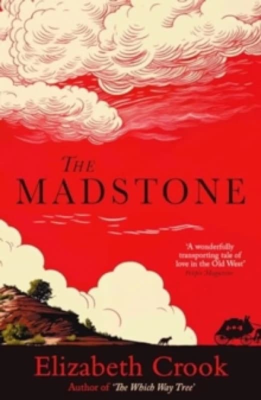 The Madstone Paperback / softback
