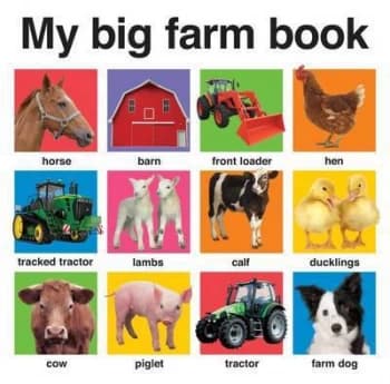 My Big Farm Book Hardback