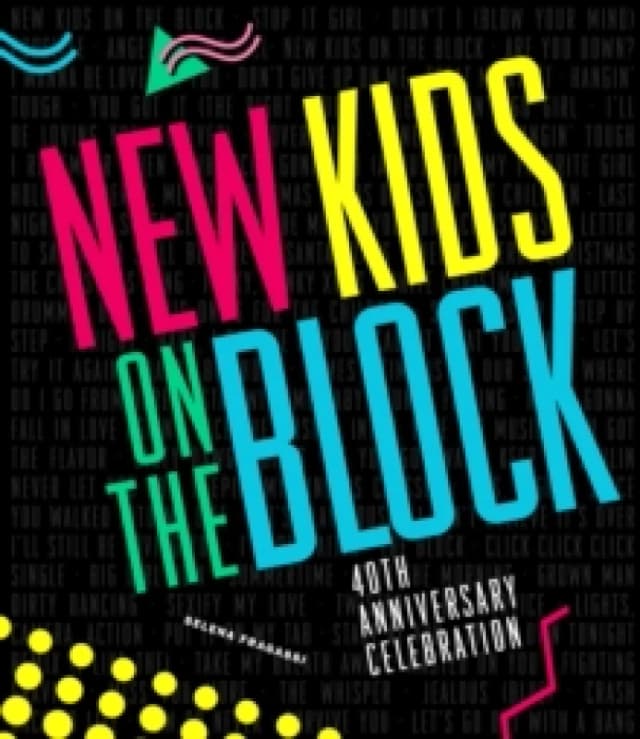 New Kids on the Block. Hardback. By Selena Fragassi Books