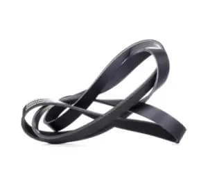 RIDEX V-ribbed belt FORD,RENAULT,FIAT 305B0283 8200356268,8200821800,9004831065 46801957,46803271,55189680,60667257,71719645,71734717,1011688,1650770