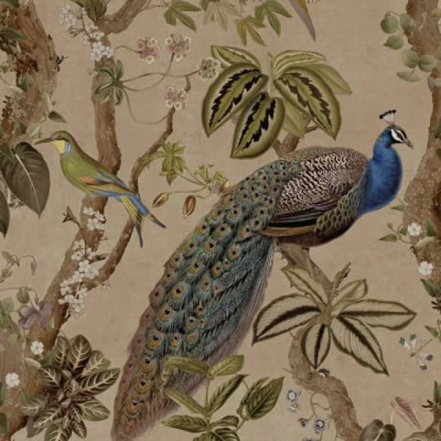 Holden Decor Holden Peacock Woods Tropical Floral Exotic Birds Flowers Taupe Wallpaper