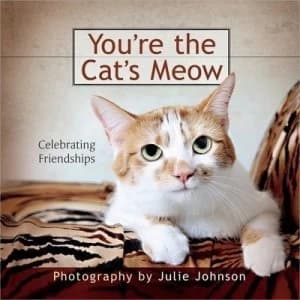 Youre the Cats Meow by Debbie Cook Hardback