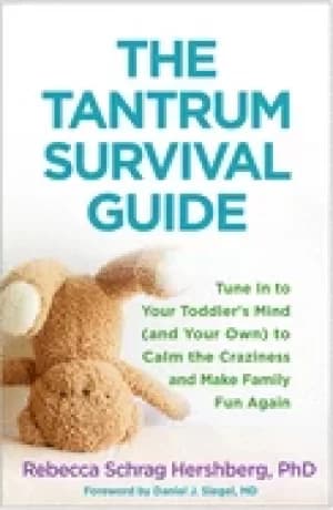 tantrum survival guide tune in to your toddlers mind and your own to calm t