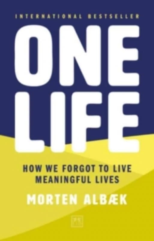 One Life : How we forgot to live meaningful lives Paperback / softback