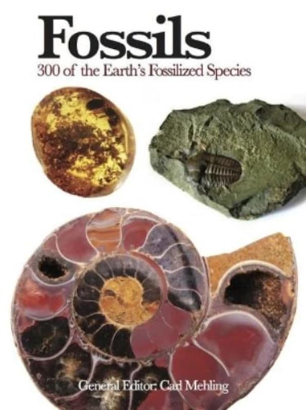 Fossils : 300 of the Earth's Fossilized Species Paperback / softback