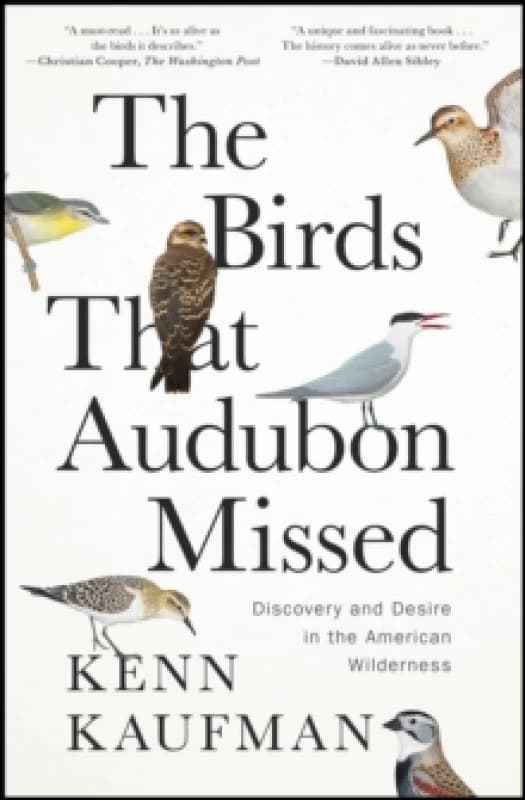 The Birds That Audubon Missed : Discovery and Desire in the American Wilderness Paperback / softback