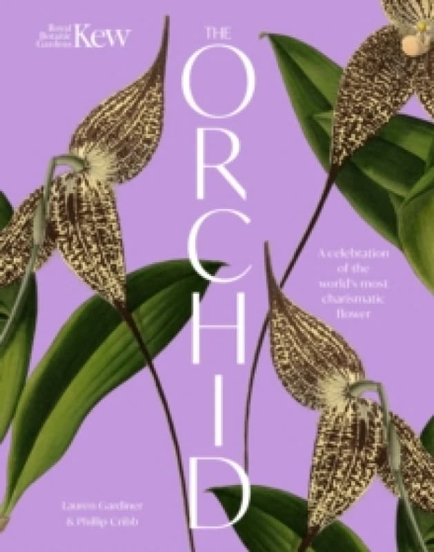 The Orchid : A celebration of the world's most charismatic flower Hardback