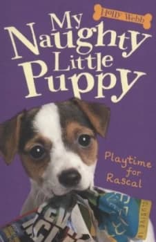 Playtime for Rascal by Holly Webb Paperback