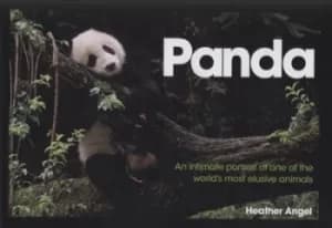 Panda by Heather Angel