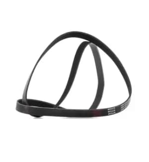 RIDEX PLUS V-ribbed belt VW,AUDI,BMW 305P0121P 55186364,55201362,71753875 046903137E,078903137BM,6Q0260849A,6Q0260849C,6Q0260849E,11281433947,1437369