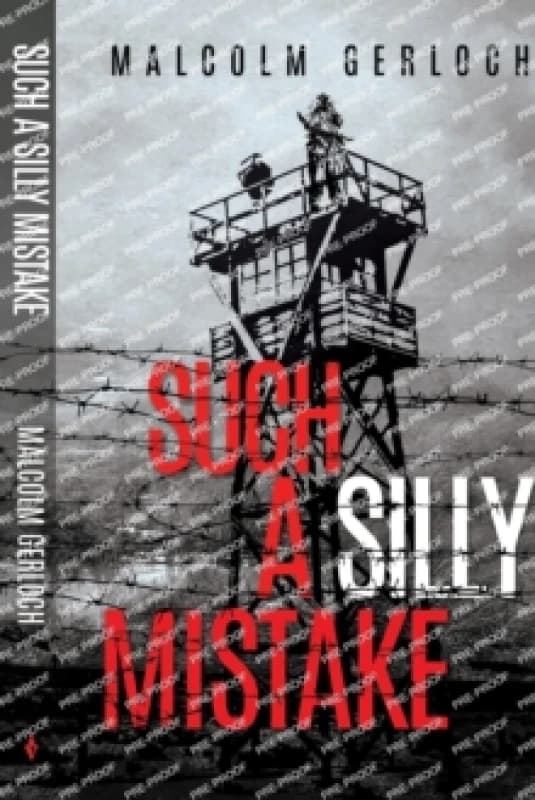 Such a Silly Mistake Paperback / softback