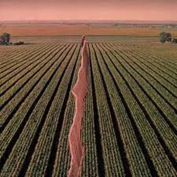 Possible Humans - Everybody Split CD