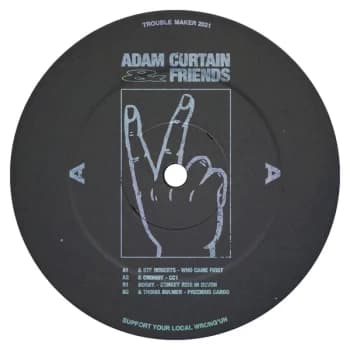 Various Artists - Adam Curtain & Friends Vinyl