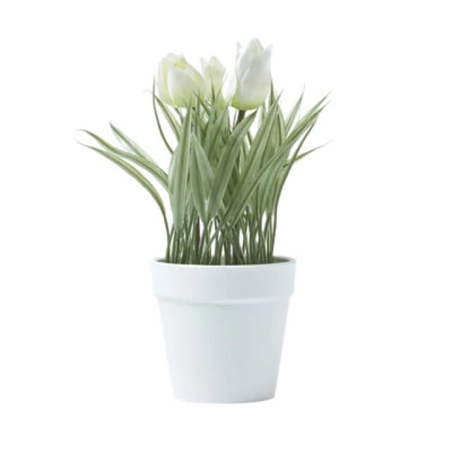 Homescapes Artificial Tulips in White Decorative Pot, 22cm Tall White