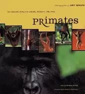 primates the amazing world of lemurs monkeys and apes