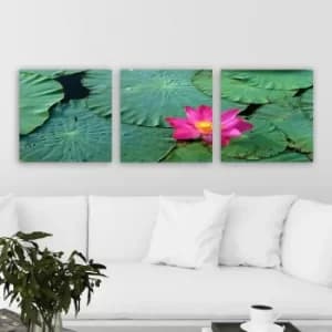 PDR9904 Multicolor Decorative Canvas Painting (3 Pieces)