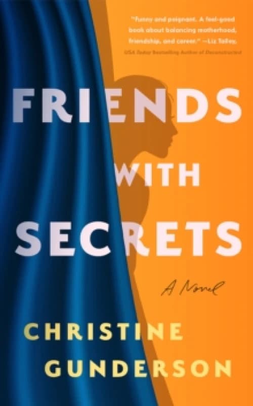 Friends With Secrets : A Novel Paperback / softback