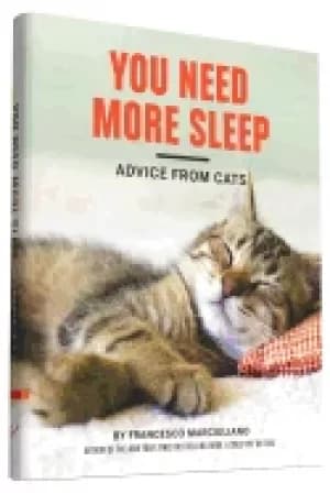 you need more sleep advice from cats