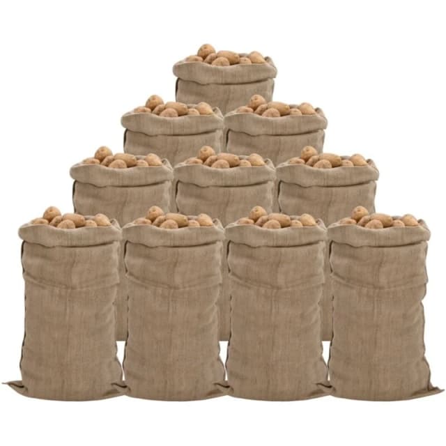 Vidaxl Jute Sacks 10 Pcs 65X135cm 100% Jute 340 Gsm, Brown 155786