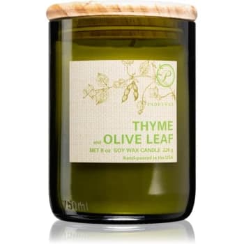 Paddywax Eco Green Thyme & Olive Leaf Scented Candle 226g