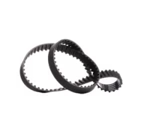 RIDEX Timing Belt 306T0094 Cam Belt,Toothed Belt HONDA,ROVER,CIVIC VI Hatchback (EJ, EK),CRX III (EH, EG),Accord VI Limousine (CK, CG, CH, CF8)