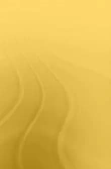 Islam in Malaysian Foreign Policy