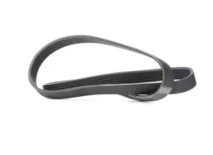 SKF V-ribbed belt FIAT,PEUGEOT,TOYOTA VKMV 6PK1244 5750YX,5750YX,SU001A2685