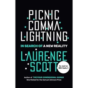 Picnic Comma Lightning In Search of a New Reality Hardback 2018