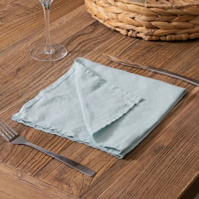 Native Natural Aqua Set of 4 100% Linen Napkins in Blue Blue Unisex