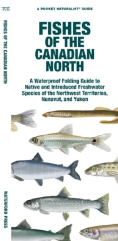 Fishes of the Canadian North Pamphlet
