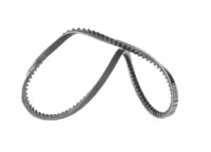 CONTITECH V Belt VW,AUDI,FORD AVX10X735 068903137F,068903137Q,0775300590009 Fenner Belt 89203057100,90048,9004832095,9004832095000,4153106,7614957