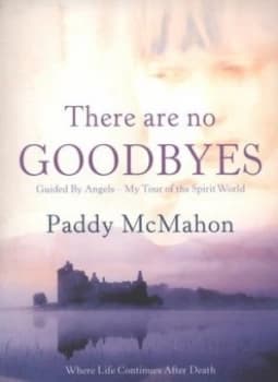 There Are No Goodbyes by Paddy Mcmahon Paperback
