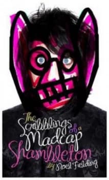 The Scribblings of a Madcap Shambleton by Noel Fielding Hardback