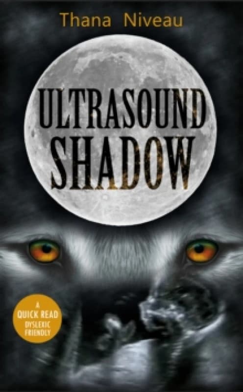Ultrasound Shadow Paperback / softback