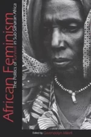 african feminism the politics of survival in sub saharan africa