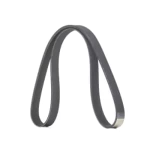 RIDEX V-ribbed belt FORD,FIAT,PEUGEOT 305P0484 5750XP,96640693,9664069380 9658144580,9664069380,1434349,1465191,6C1Q6C301BC,6C1Q6D314BA,6C1Q6D314BC