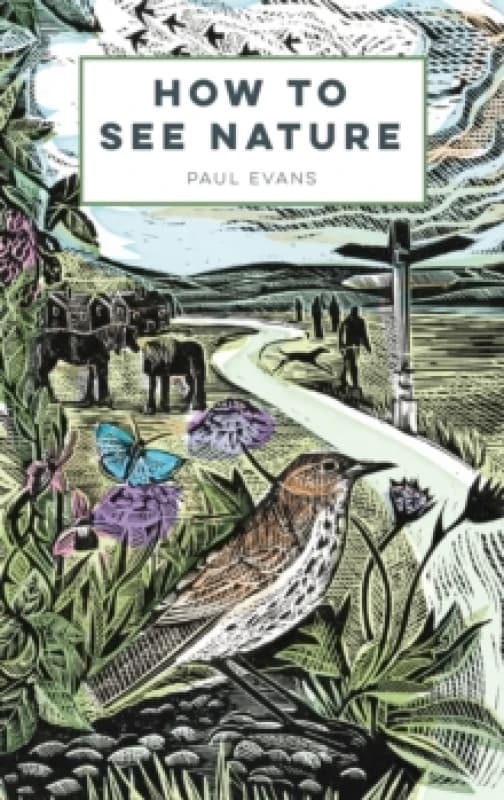 How to See Nature Paperback / softback