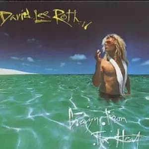 Crazy From The Heat CD Album