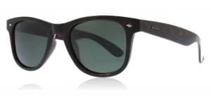 Polaroid PLD1016/S Sunglasses Havana V08 Polariserade 50mm