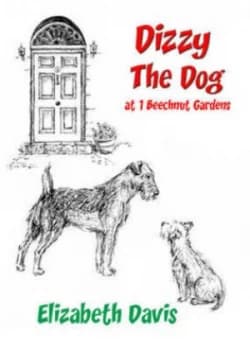 Dizzy the Dog at 1 Beechnut Gardens by Elizabeth Davis Hardback