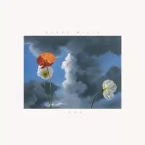 Look by Blake Mills CD Album