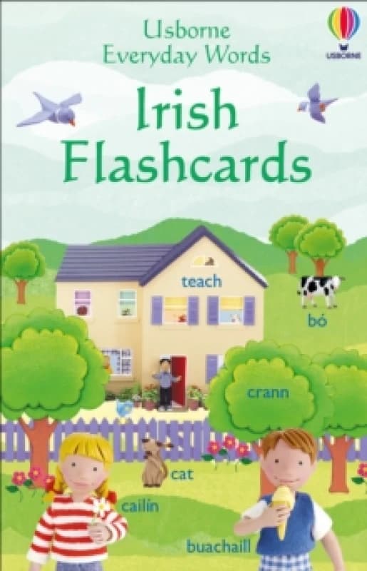 Everyday Words in Irish Flashcards Cards