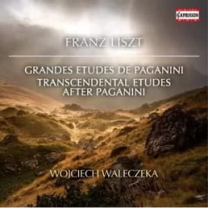 Franz Liszt Grandes Etudes De Paganini/ by Franz Liszt CD Album