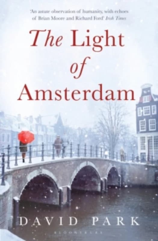 The Light of Amsterdam by David Park Paperback