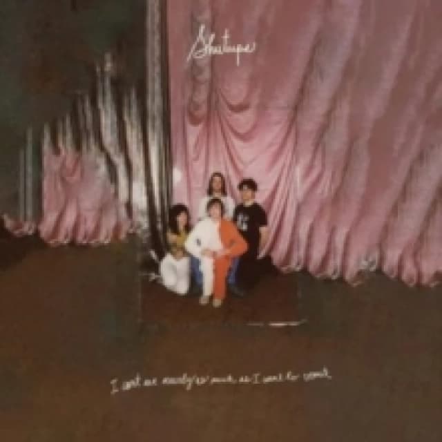 I Can't Eat Nearly As Much As I Want to Vomit Vinyl