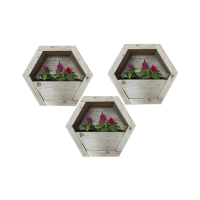 Buttercup Farm Hanging Wooden Hexagon Wall Planter (Set of 3) - L16 x W54 x H47cm in Light Brown Light Brown Unisex