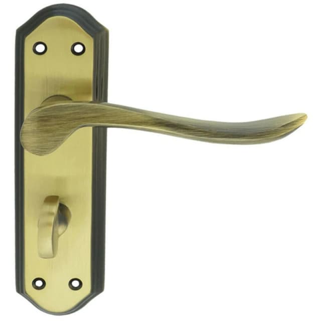 Loops PAIR Curved Lever on Sculpted Bathroom Backplate 180 x 48mm Florentine Bronze Multi