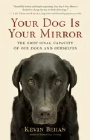 your dog is your mirror