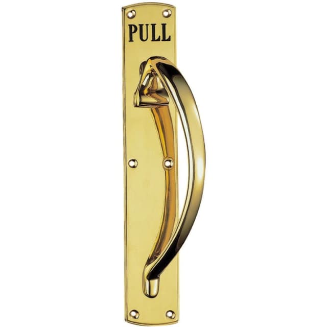 Loops Curved Right Handed Door Pull Handle Engraved with 'Pull' Polished Brass Metallics unisex